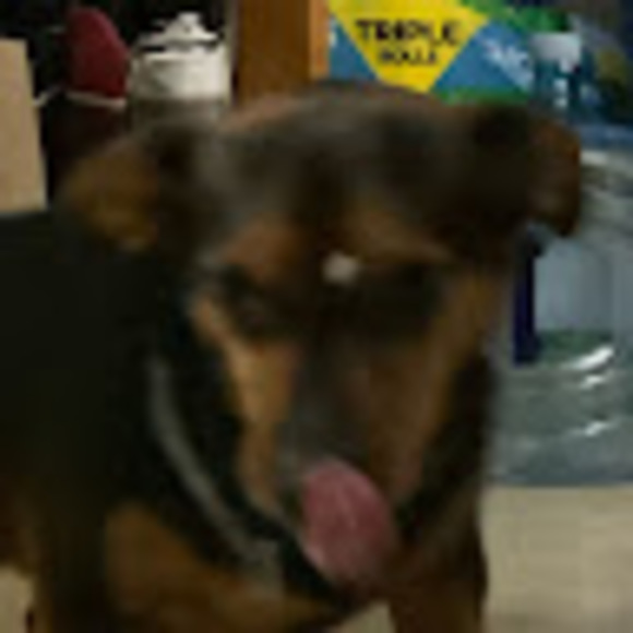 Meet your Posher, Hydee - Picture 1 of 1